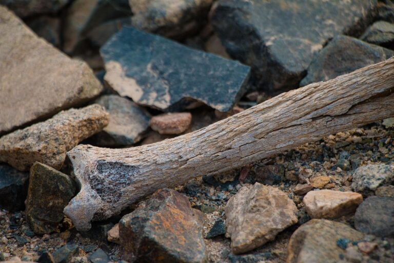 Donna anziana che consulta un medico riguardo l'osteoporosi e l'importanza dei minerali.