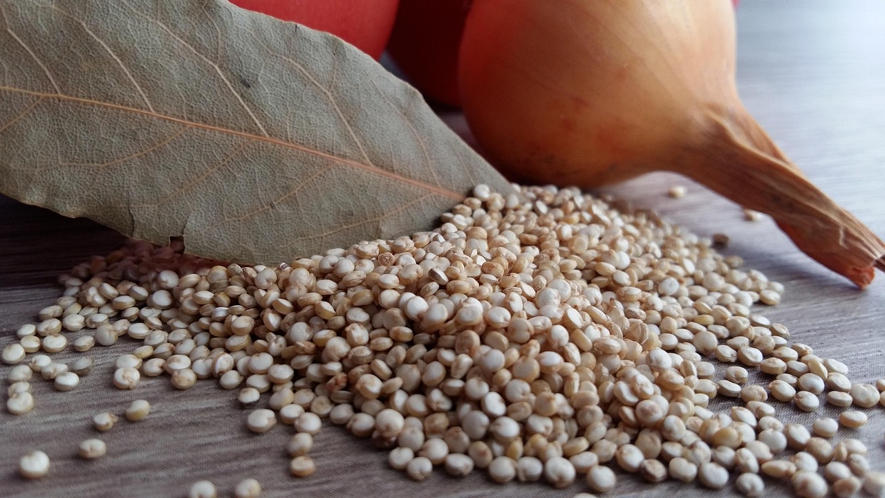 Quinoa cotta in una ciotola, pronta per essere servita e ricca di proprietà nutritive.