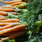 Carote fresche in vendita con etichetta che segnala possibile trattamento chimico.