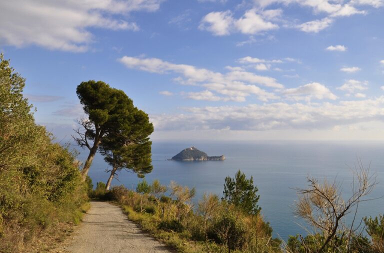Vista panoramica dell'Isola d'Elba con spiagge e acque cristalline, meta ambita per le vacanze estive.