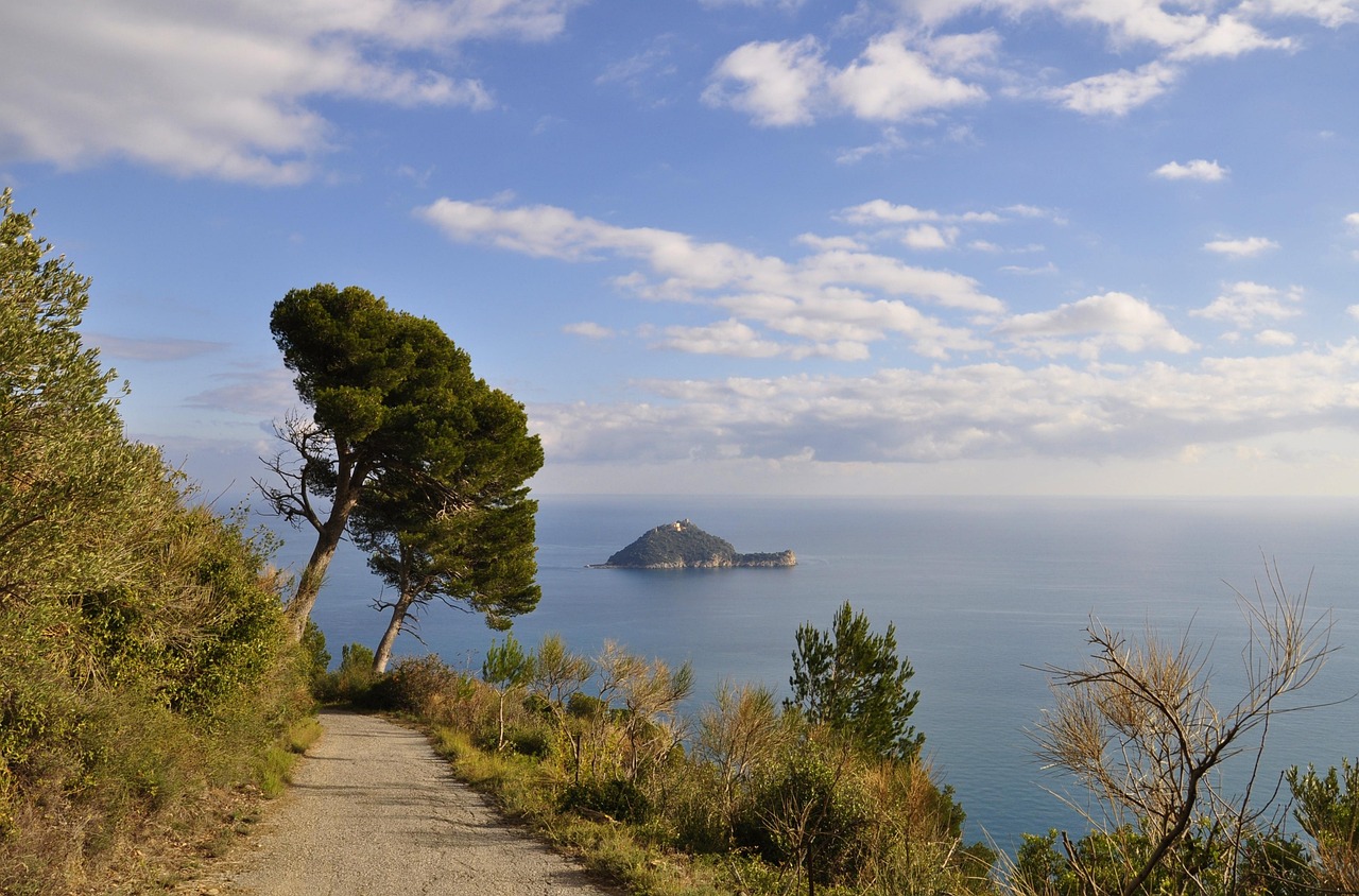 Vista panoramica dell'Isola d'Elba con spiagge e acque cristalline, meta ambita per le vacanze estive.