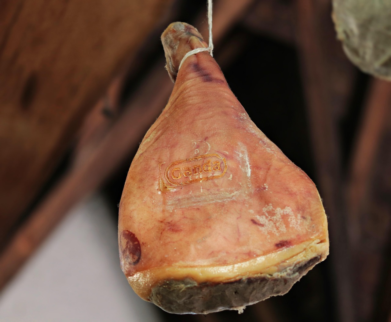 Immagine di un maiale di razza italiana, simbolo del vero prosciutto di Parma.