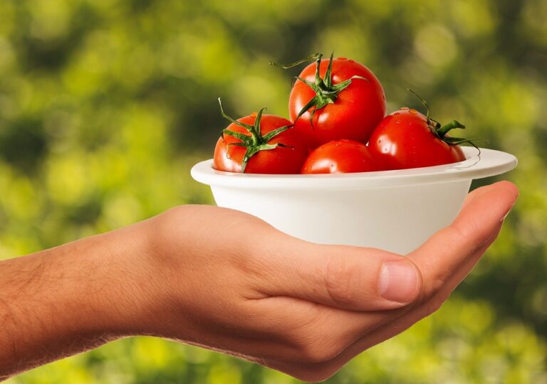 Pomodori freschi su un tavolo, simbolo di un'alimentazione sana e del legame con il colesterolo.