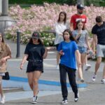 Studente universitario che compila domanda per bonus affitto 2026, con documenti e computer.