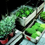 Orto urbano in fase di allestimento, con piante fresche e attrezzi da giardinaggio.